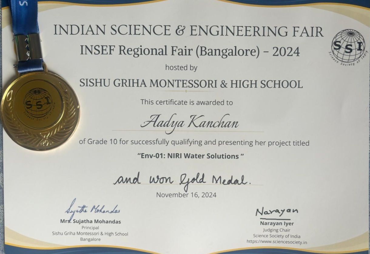 INSEF Regional Gold Medal